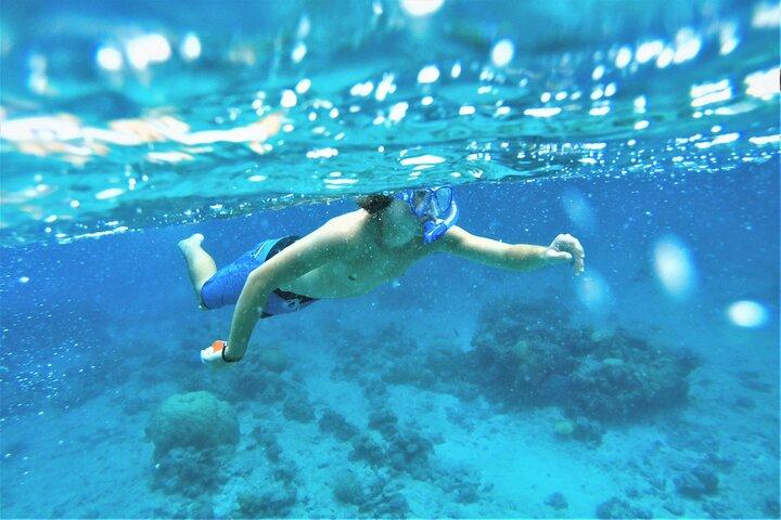 Snorkel Adventure à travers la mer de Cortez