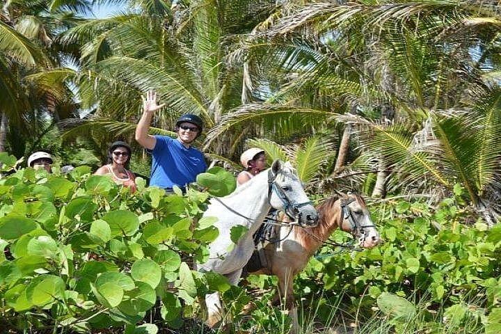 プンタ・カナからマイモン川に乗った乗馬