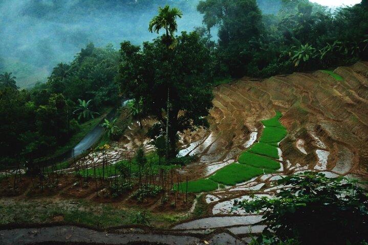 Kandy Village-wandeling met een local