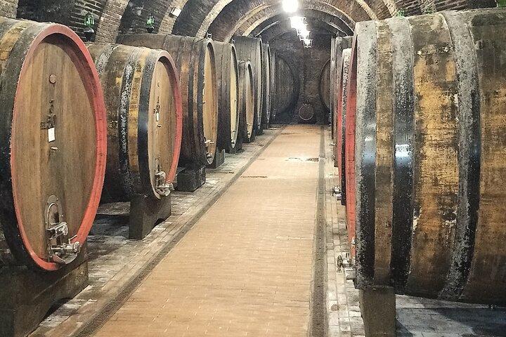 PRIVAT TUR: Njut av utsökta viner: Brunello & Nobile Wine Tour