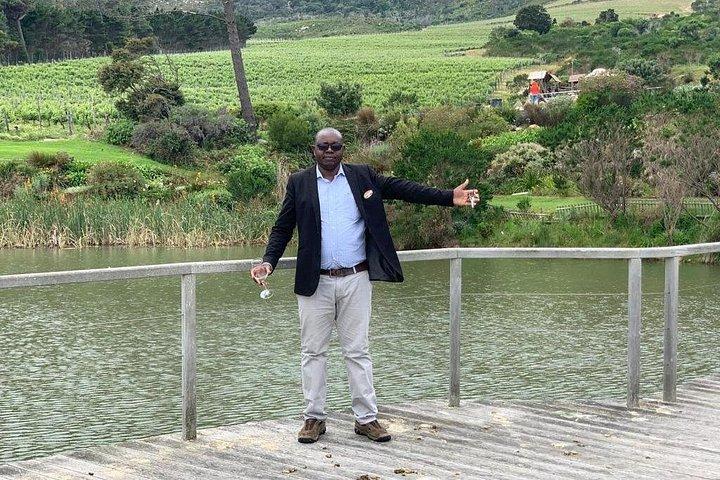 Table Mountain & Constantia Wine Tasting Full Day Tour.