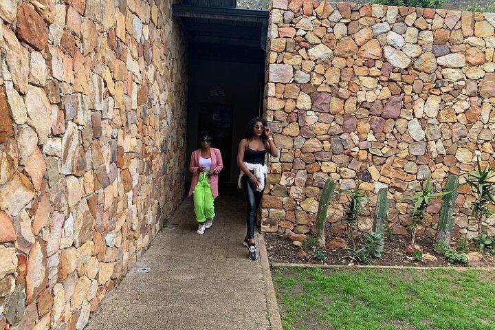 Table Mountain & Constantia Wine Tasting Full Day Tour.