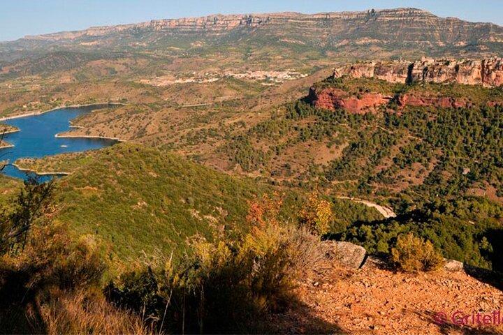 Visite de dégustation de vins du Priorat au départ de Salou avec prise en charge à l'hôtel