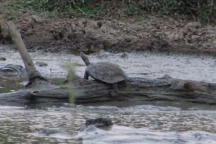 ヤラ国立公園でのワンナイトキャンプ