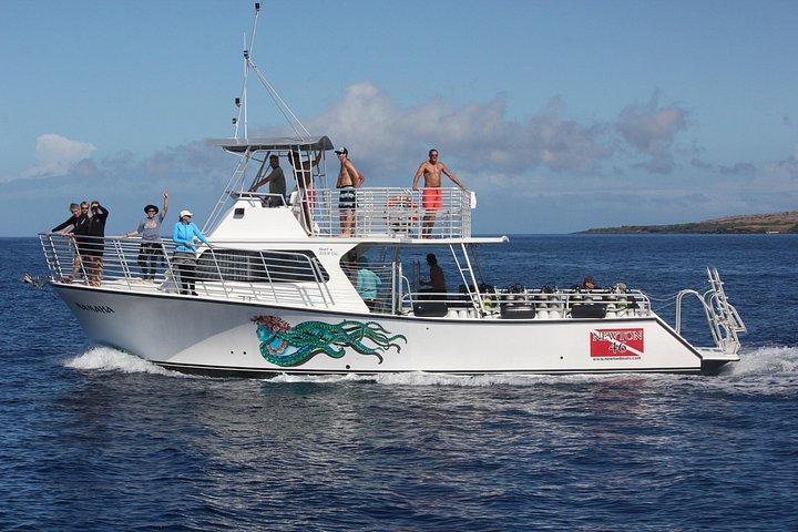 Big Island: Sunset Whale Watching Shared Activity