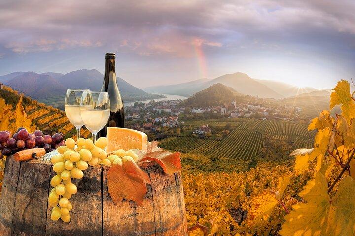 Tour de cata de vinos de Viena con un experto en vinos privado