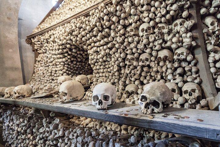 Praga - Excursão turística privada de ida e volta a Viena
