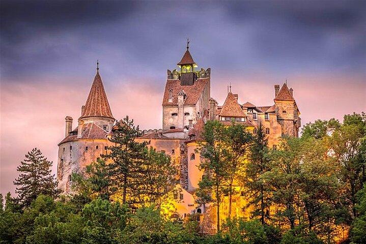 De Bucareste: Castelo de Drácula, Castelo de Peles e Excursão de dia inteiro pela cidade velha de Brasov