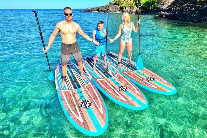 Excursão privada de stand up paddle em Turtle Town, Maui