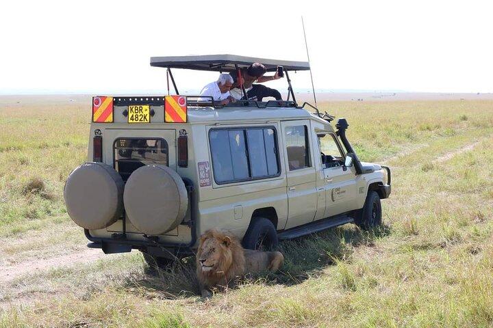 Safari nella fauna selvatica e alpinismo