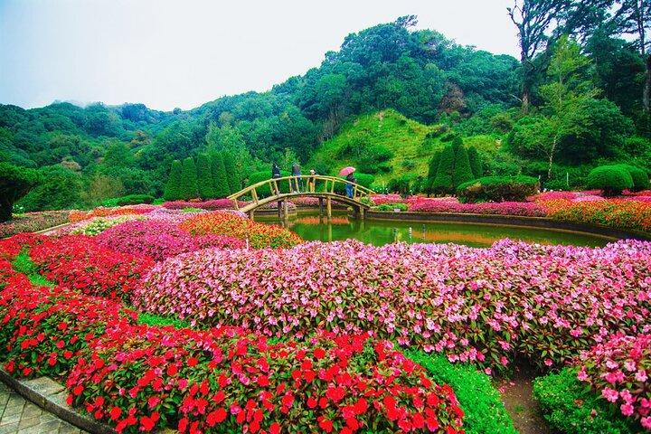 ドイ・インタノン国立公園への日帰り旅行
