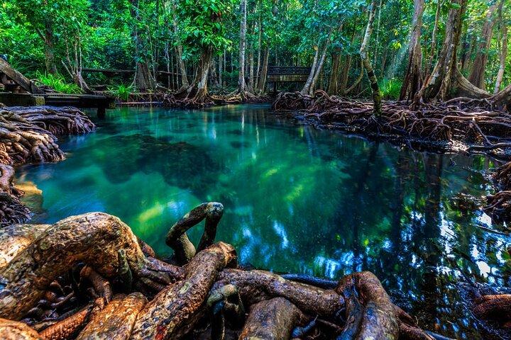 Tour por la jungla de Krabi con kayak en Ao Thalane