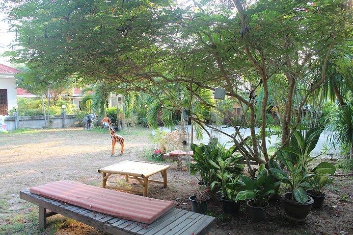 Thai Cooking Class in Koh Samui