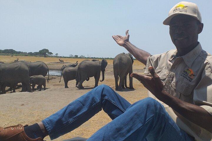 ワンゲ国立公園の日帰り旅行