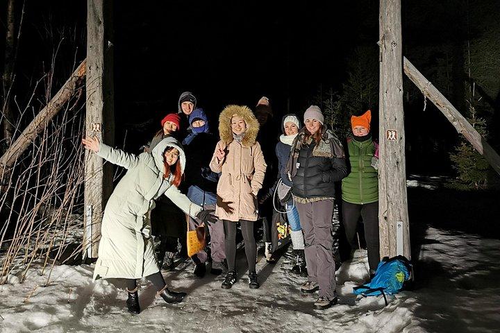 Aurora boreale da Kemi-Tornio con Pickup
