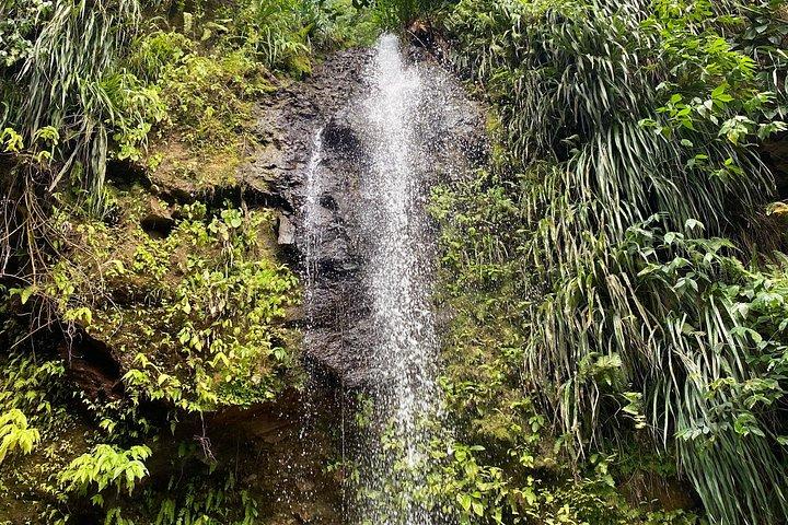 LUNCH INCLUSIVE Mud Baths, Waterfall & Tet Paul Nature Trail