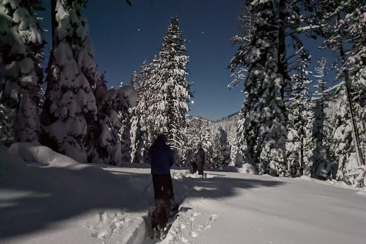 Tour con raquetas de nieve a la luz de la luna en el Bosque Nacional Tahoe bajo un cielo estrellado