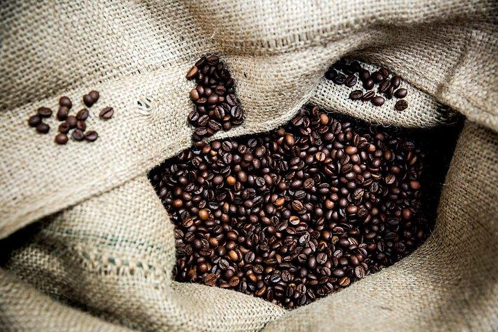 Sabores Escondidos da Encosta: Mouraria e Graça