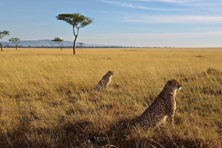 Groupe Masai Mara de 3 jours rejoignant Safari Adventure