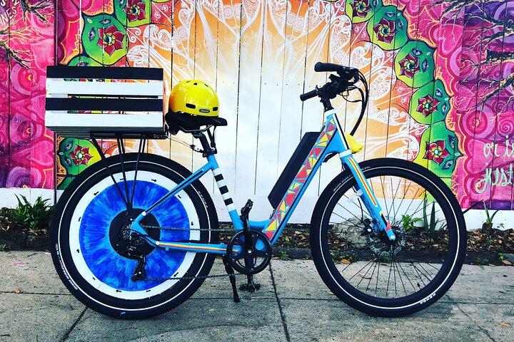 ジャクソンビルの電動自転車アートと建築のガイド付きツアー