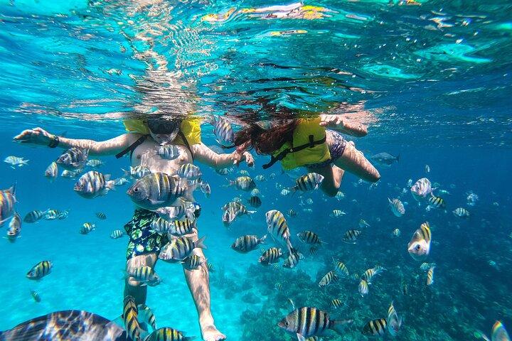 ウエスト エンドでのボートとシュノーケリング (ブルー チャンネル、水族館、タートル クロッシング)