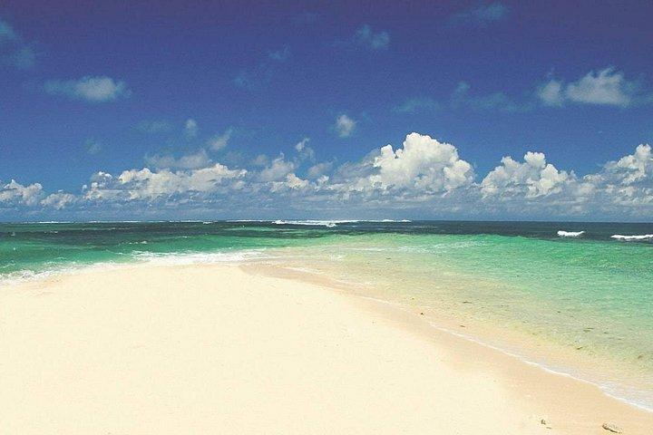 Catamaran to Ile aux Cerfs from Pointe Jerome with transfer