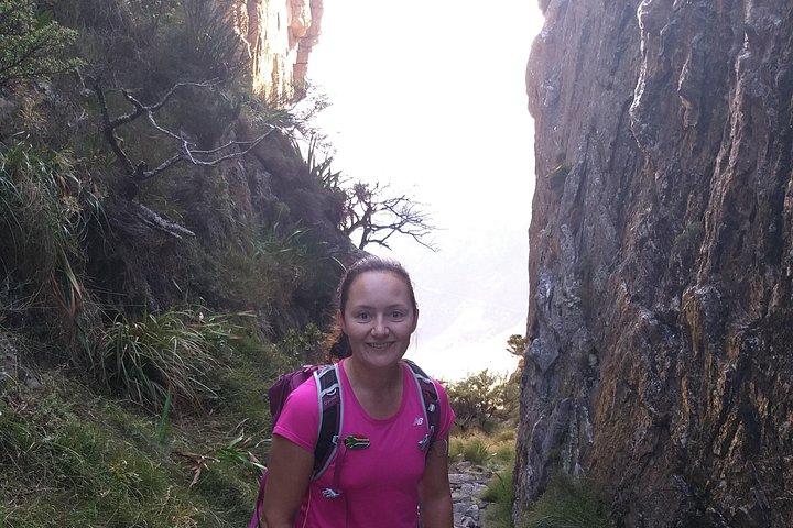 Cape Town: Platteklip Gorge Half-Day Hike on Table Mountain