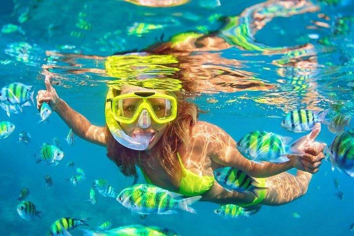 イロット・ガブリエル、コイン・ド・ミール、フラット島へのプライベートスピードボート