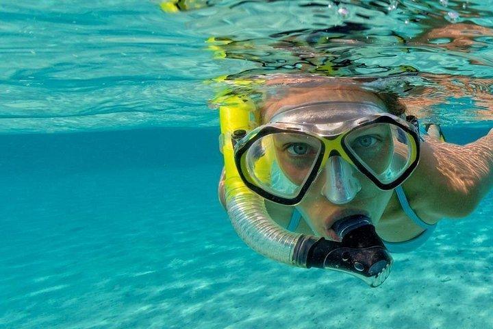 イロット・ガブリエル、コイン・ド・ミール、フラット島へのプライベートスピードボート