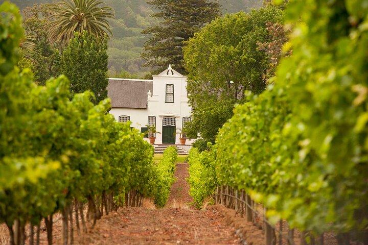 Cape Town: excursion privée d'une demi-journée dans les vignobles