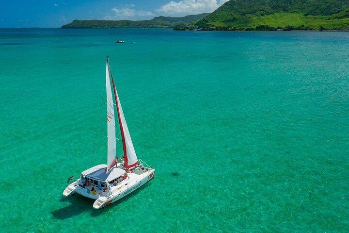 Catamarano per Ile aux Cerfs da Pointe Jerome con trasferimento