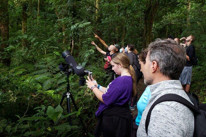 En dag i naturen i Monteverde