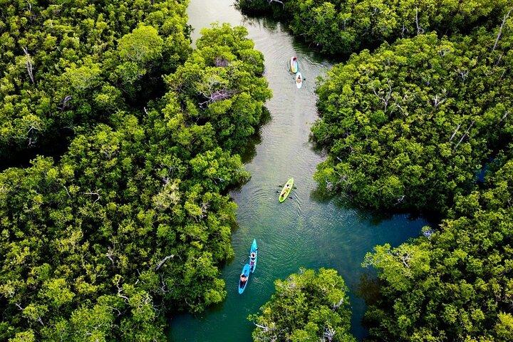 Kajakpaddling i Cancun