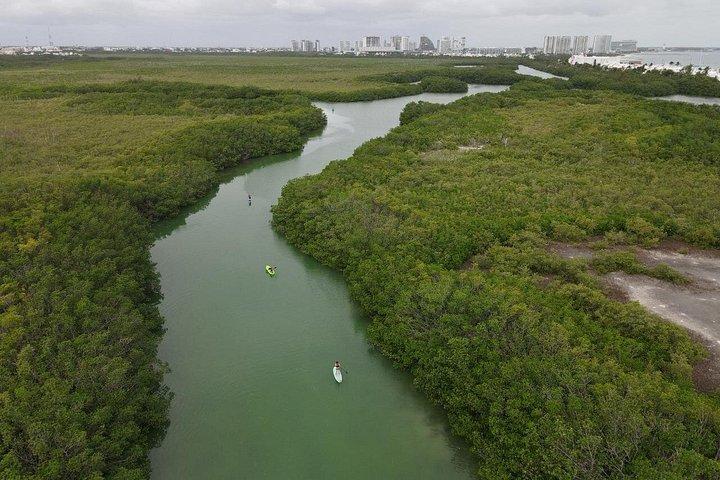 Kayaking Tour in Cancun