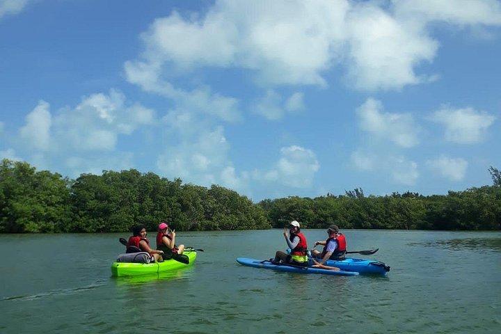 Kayaking Tour in Cancun