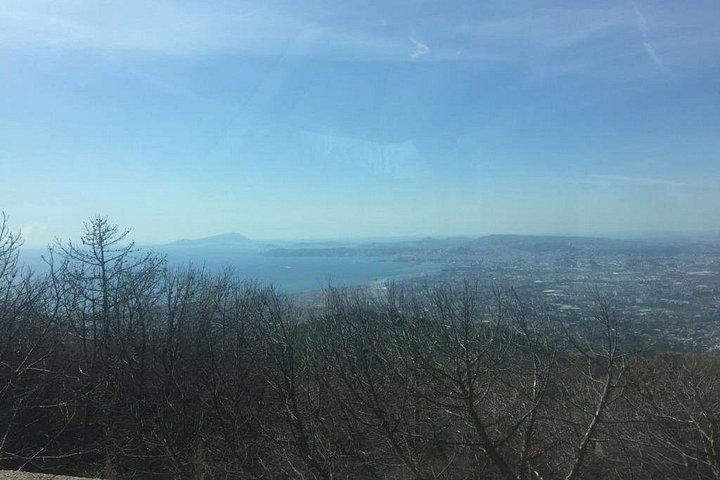 ナポリからの終日ポンペイとベスビオ山のハイキング