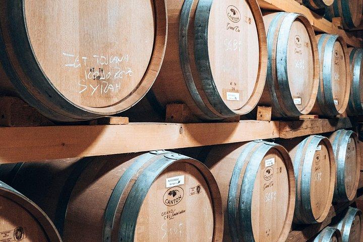 Versteckte Schlösser & Chianti Weinerlebnis – Kleine Gruppe