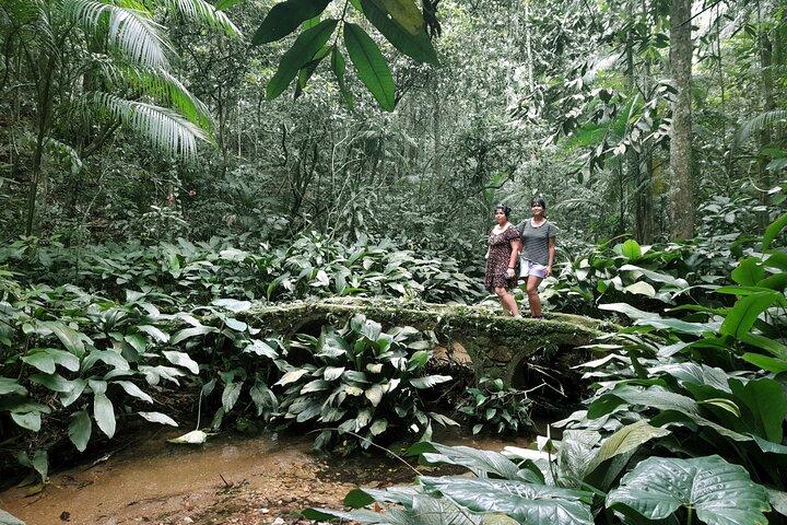 Tijuca National Park and all its wonders