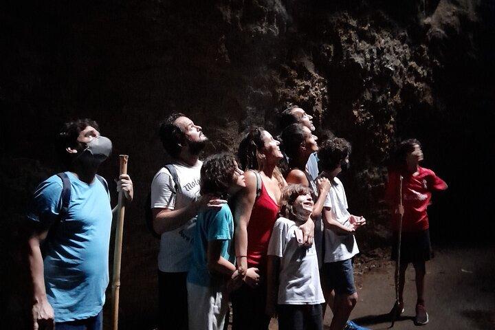 Tijuca National Park and all its wonders