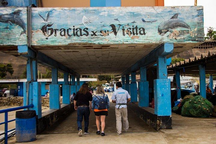 Lima: Cookery Workshop And Water Circuit Tour
