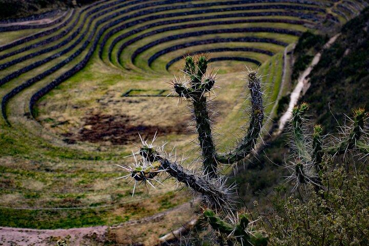 Half Day Mountain Biking Activity in Maras Moray
