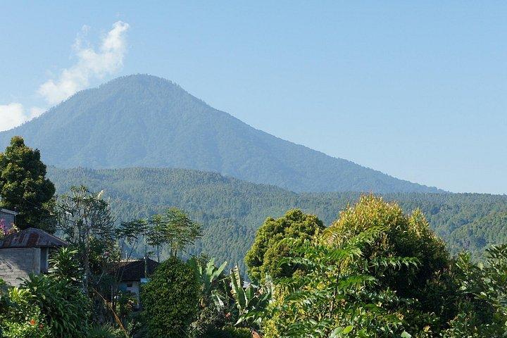 North Bali Tour 3 dage/2 nætter