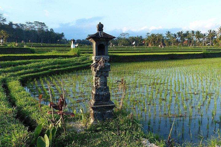North Bali Tour 3 dage/2 nætter