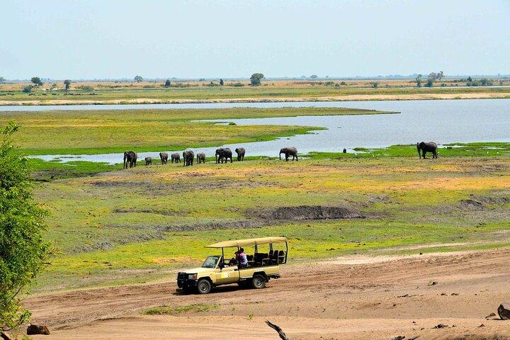 Chobe-dagstur fra Livingstone