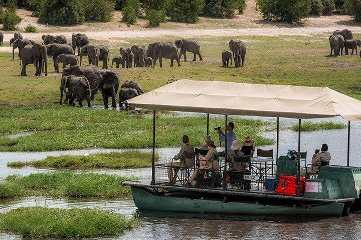 チョベサファリ日帰り旅行 | リヴィングストーンからボツワナへ