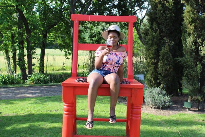 Private Visit to Wineries Stelenbosch from Cape Town Price/Group