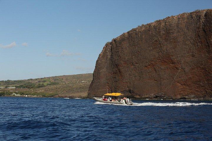 Mauis bedste Lanai-snorkel- og delfinflådeeventyr