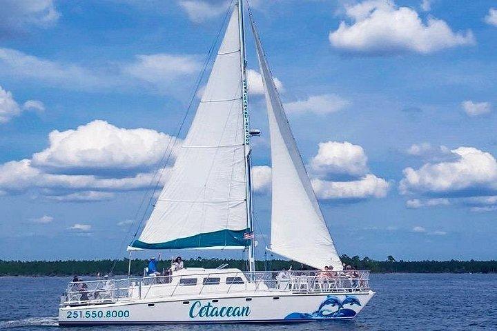 Orange Beach Delfin sejltur om bord på Catamaran