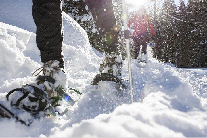 カリフォルニア州サウス レイク タホでのスノーシュー アドベンチャー
