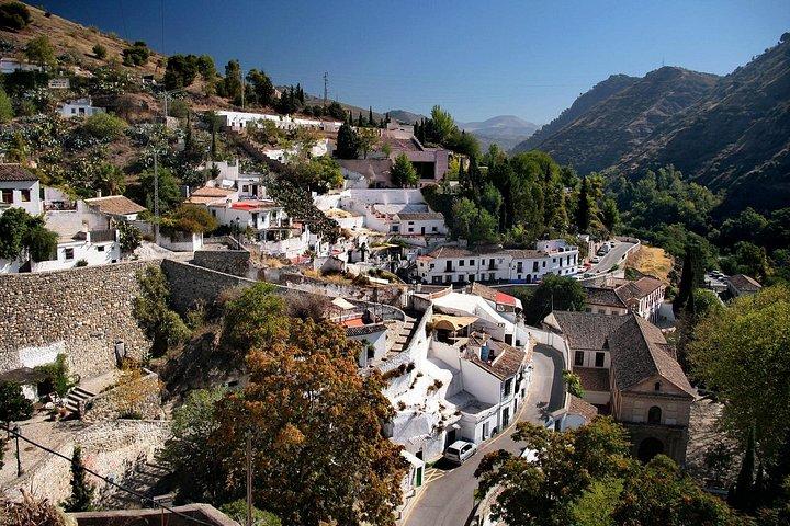 Private Walking Tour in Granada